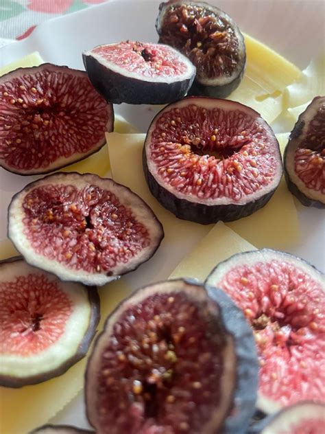 Fig, Plum, Cheese, Ficus, Figs