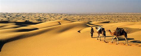 The desert - Tunisia