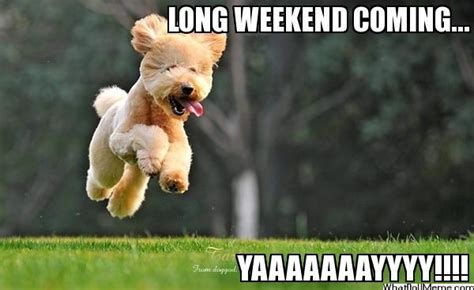 Long Weekend Coming....Yaaaaaayyyyy!!!! Pictures, Photos, and Images ...