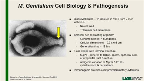 Resistance Guided Therapy for Mycoplasma genitalium: Application of ...