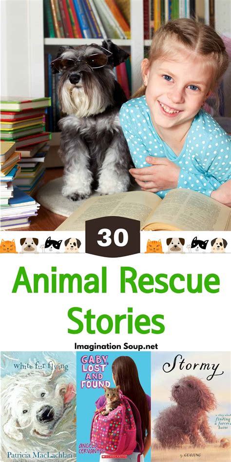 Dog, Cat, and Other Animal Rescue Stories for Kids | Imagination Soup