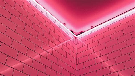 Download Neon Pink Aesthetic Brick Wall Wallpaper | Wallpapers.com