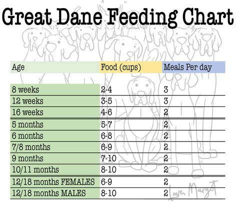 Great Dane Puppy Weight Chart | Portal.posgradount.edu.pe