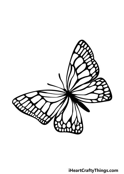 Butterfly Drawing