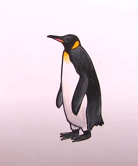 How To Draw a Penguin: 10 Easy Drawing Projects