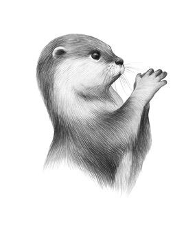 "Cute Otter" Images – Browse 1 Stock Photos, Vectors, and Video | Adobe ...