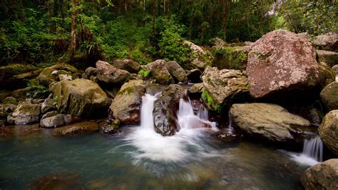 Río Grande turismo: Qué visitar en Río Grande, San Juan, 2023| Viaja ...