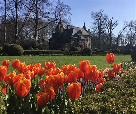 A Better View Travel on Instagram: “Tulips at a castle and gardens ...