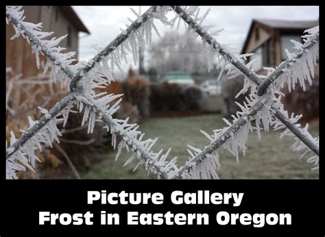 Frost in Eastern Oregon (Milton-Freewater) – Minnesota Cold – Cold ...