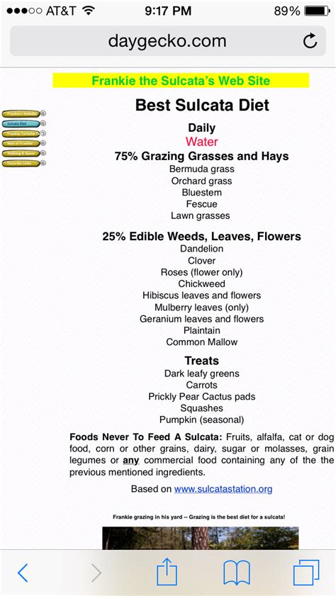 Sulcata Tortoise Diet Sheet - DIETVC