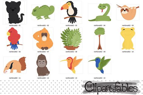 Cute RAINFOREST ANIMALS clipart, Wild animals clip art, Jungle By ...