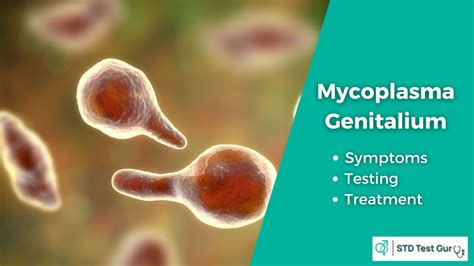 What is Mycoplasma Genitalium? - Symptoms, Testing and Treatment