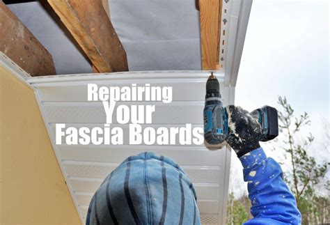 Repairing Your Fascia Boards | Fascia Repair Ft. Lauderdale