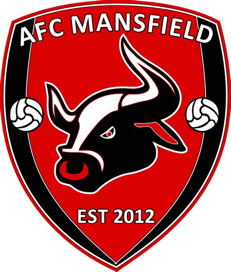 AFC MANSFIELD: AFC Mansfield Academy