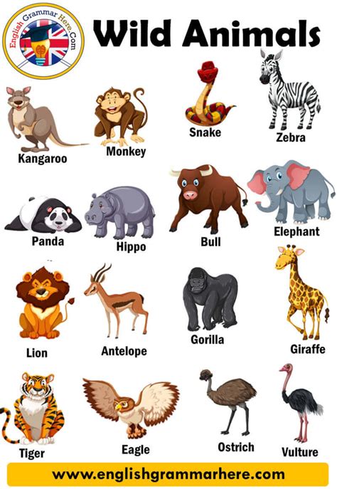 Wild Animals, Definition and Examples - English Grammar Here