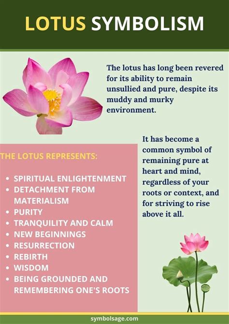 Lotus Symbolism | Lotus flower symbolism, Lotus symbol, Lotus flower