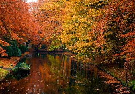 AUTUMN fall landscape nature tree forest wallpaper | 4000x2773 | 813312 ...