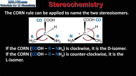 B.10 Stereochemistry of amino acids (HL) - YouTube