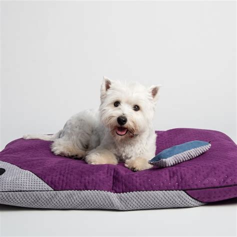 Purple Dog Bed - Etsy