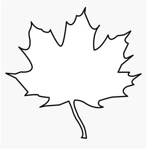 Leaf Outline Tree Clipart Free Cliparts Images On Transparent ...