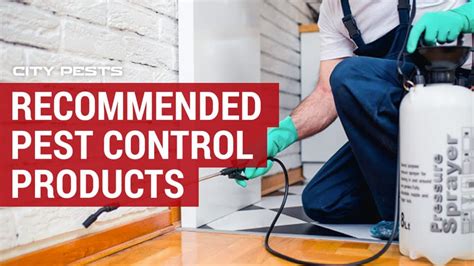 Best DIY Pest Control Products | Control your Infestation | City Pests