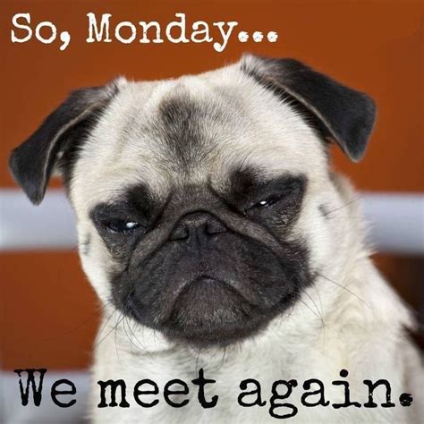 So Monday...We Meet Again Pictures, Photos, and Images for Facebook ...