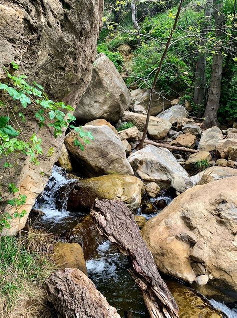 Black Star Canyon Trail - Trails Near Me