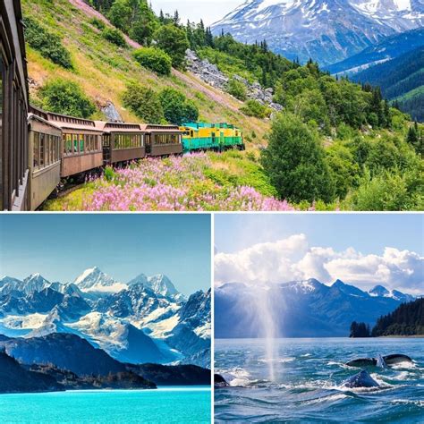 Why take an expedition cruise to Alaska? | Panache Cruises