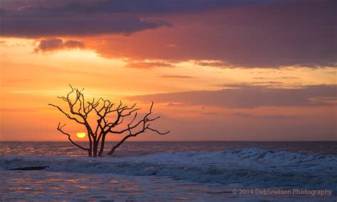 Sunrise on Botany Bay Edisto Island Charleston SC tree boneyard 2