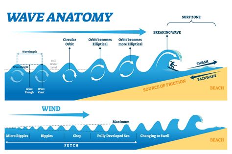 Wave Basics | MooMooMath and Science