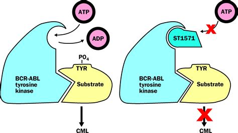 Tyrosine Kinase Inhibitors