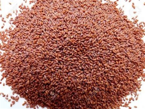 Lepidium Sativum Seeds(Halim Seeds) at Rs 85/kg | Garden Cress in ...