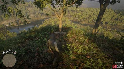 Graves Locations - Collectibles - Extras | Red Dead Redemption 2 ...