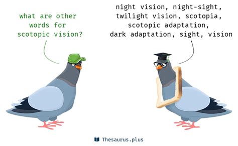 10 Scotopic vision Synonyms. Similar words for Scotopic vision.