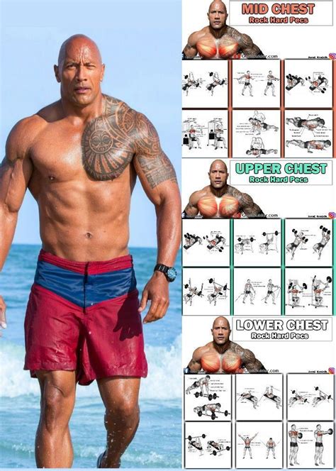 The Rock’s SUPER TRAINING PROGRAMME in 2020 | Chest workouts, Chest ...