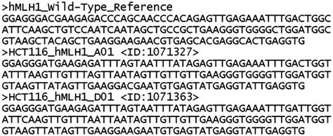 FASTA file format. The wild-type sequence and proper strand of the ...