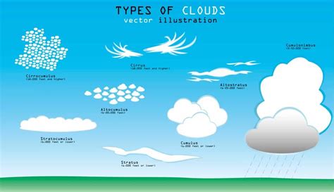 10 Types of Clouds in the Sky – Do You Know Them All? – Nayturr