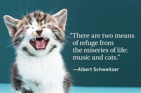 Cat Quotes Every Cat Owner Can Appreciate | Reader's Digest