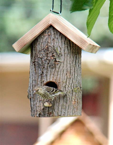 Window and Log Bird Houses and Feeders - Forest Street Designs