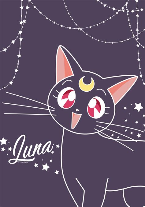 Sailor Moon With Luna Wallpapers - Wallpaper Cave