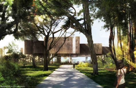 Mexico for Insiders: Herzog & de Meuron in Mexico: the Guadalajara ...