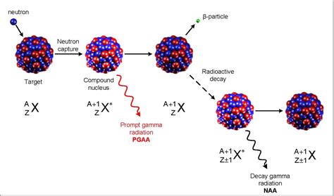 Neutron activation analysis - Methods - Industry - SINE2020 portal