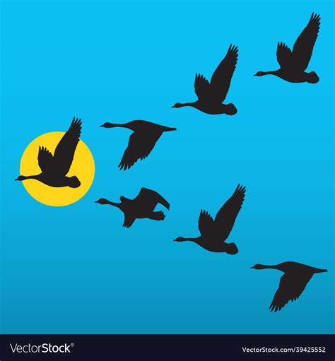 Flock of migrating geese flying in v formation Vector Image