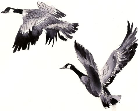 Flying Goose Drawing at PaintingValley.com | Explore collection of ...