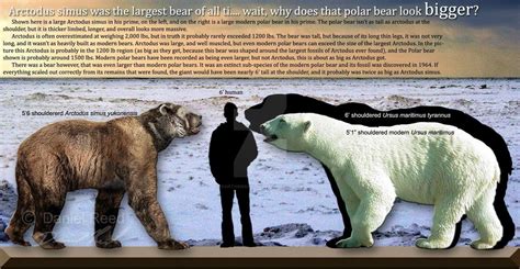 The Modern Polar bear is significantly larger than the extinct short ...