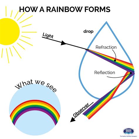 Image result for rainbow diagram simple | How rainbow is formed ...