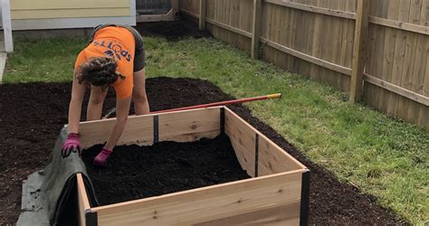 How To Layer Soil In A Raised Garden Bed | Fasci Garden