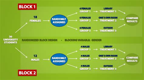 Experimental Design Diagram Example - Hanenhuusholli