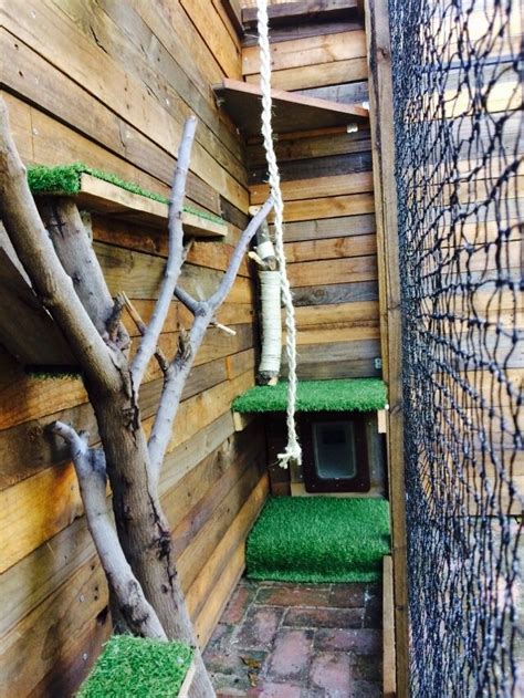 DIY cat enclosure, using pallet wood and branches | Cat playground ...