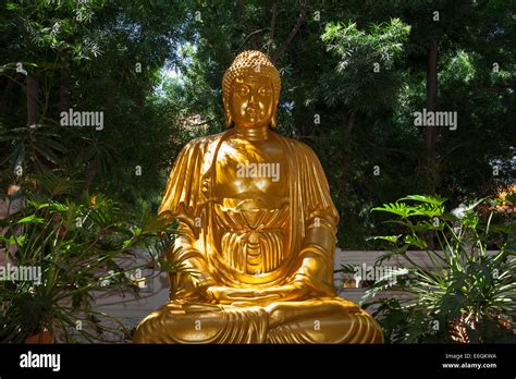 Golden Buddha statue at the Hsi Lai Buddhist temple; Hacienda Heights ...